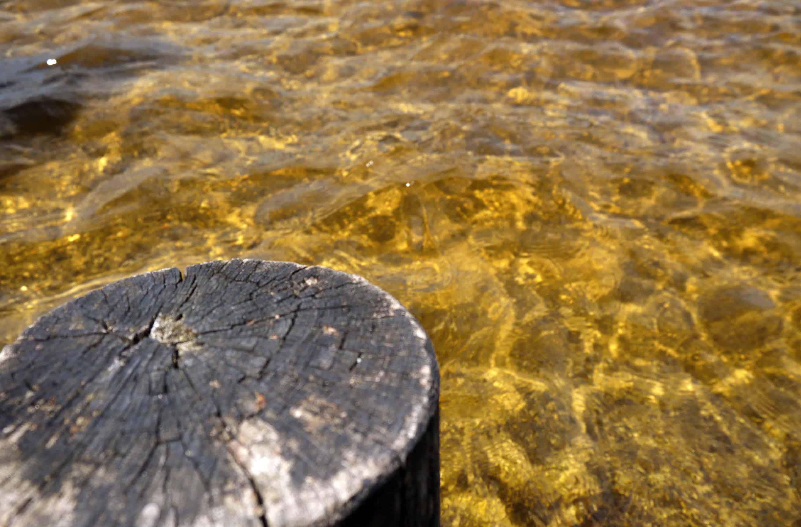 Holz und Wasser am Kirchsee