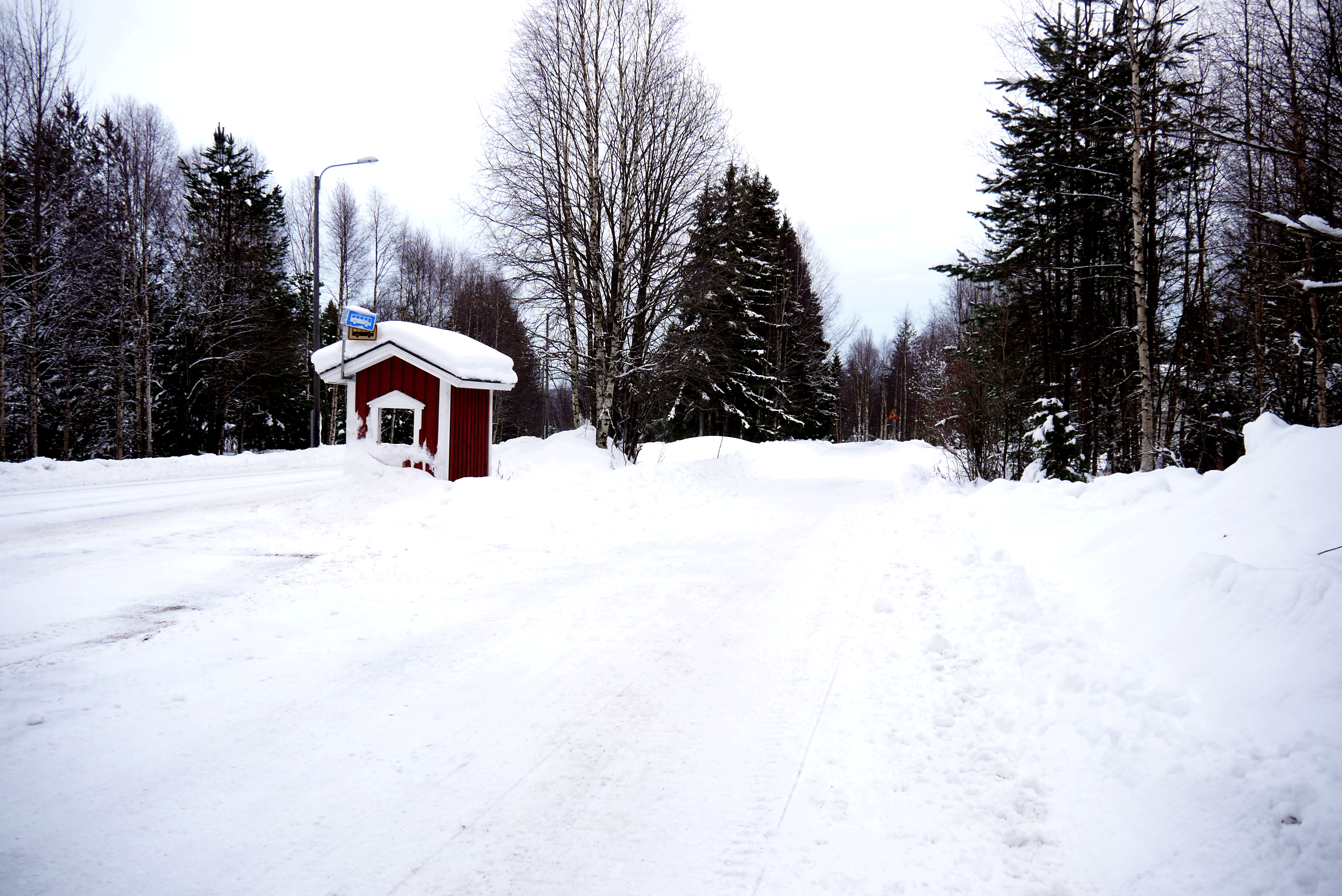 Straße in Lappland